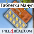 Таблетки Мануп 42